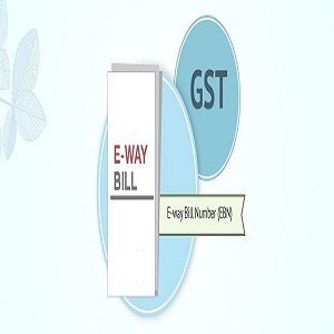 Tally Solutions raises concern on proposed E-Way Bill under GST