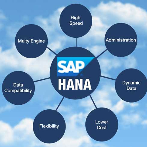 Globus pumps up growth with SAP HANA Enterprise Cloud