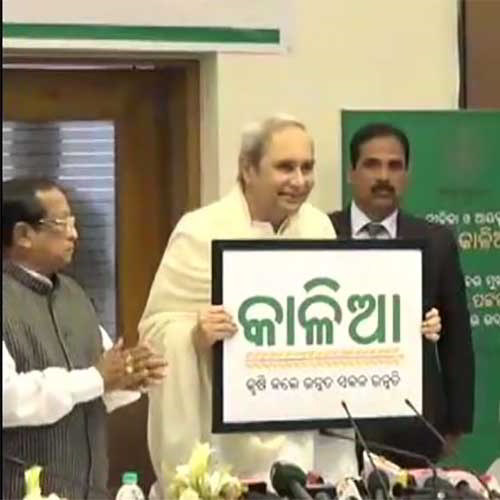 Scheme KALIA increases the popularity of Naveen Government in Odisha