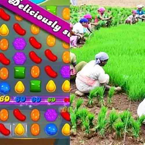 Maharashtra farm loan waiver scheme link takes people to Candy Crush portal