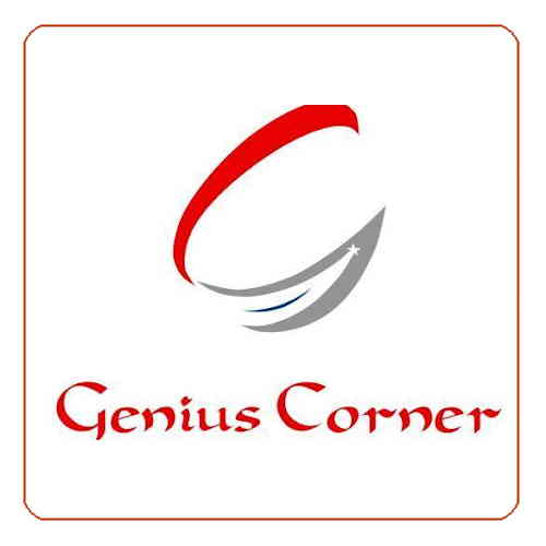 Genius Corner raises US$ 250K from individual investors