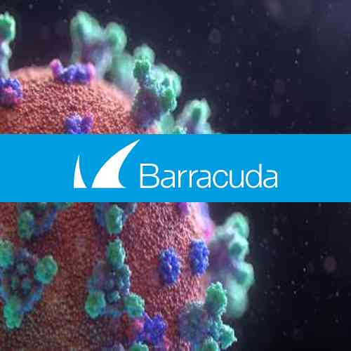 Barracuda finds sharp rise in phishing attacks as scammers prey on Coronavirus fears