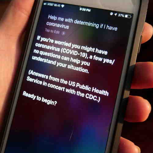 Apple Siri now comes with COVID-19 updates