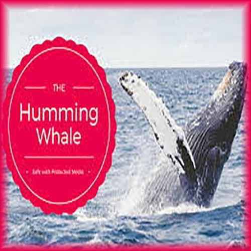 RETURN OF HUMMING WHALE TO HIT YOUR PC and Mobile Phone