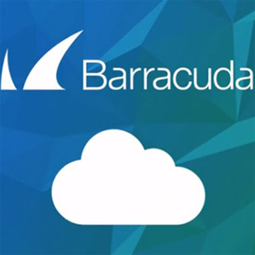 Barracuda Networks claims 72% of COVID-19-related attacks are scamming