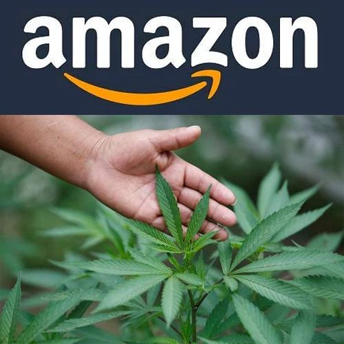 CAIT urges action against Amazon for alleged sale of Marijuana